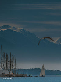 Sailboats in sea against sky