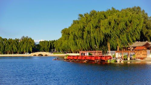 Scenic view of trees against clear sky