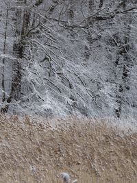 Full frame shot of snow covered land