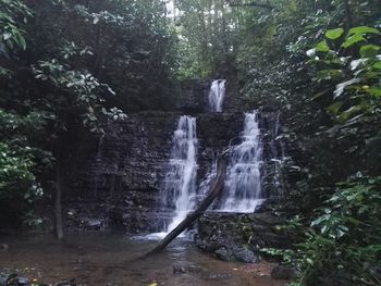 Scenic view of waterfall in forest