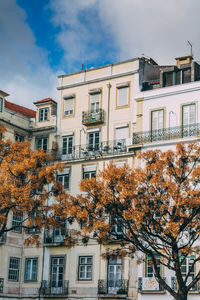 Low angle view of tree against sky