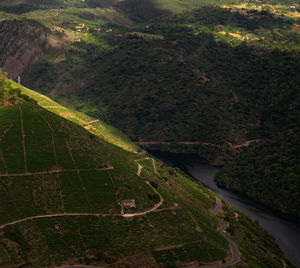 High angle view of road amidst landscape