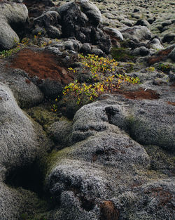 High angle view of stream flowing through rocks