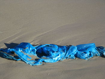 High angle view of blue lying on sand