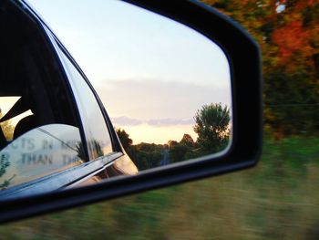 Reflection of trees on side-view mirror