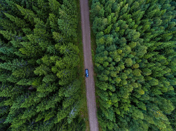 High angle view of car on road amidst trees in forest