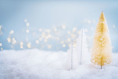 Close-up of christmas tree