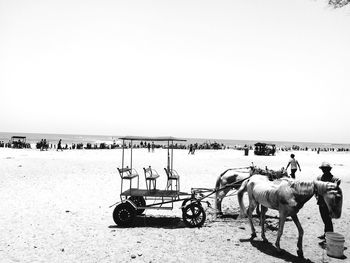 Bicycles on beach against clear sky