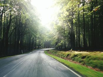 Road passing through trees