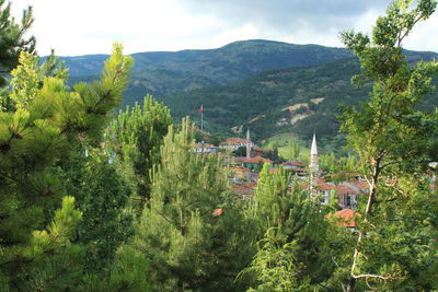 Panoramic view of trees on landscape against sky