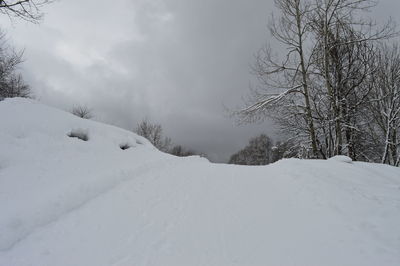 Close-up of snow covered trees against sky