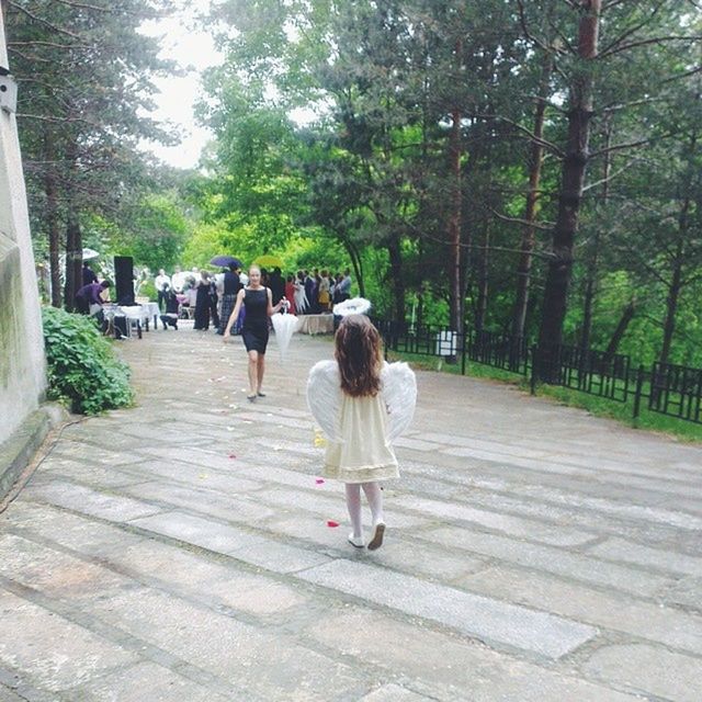 tree, rear view, walking, full length, lifestyles, the way forward, person, leisure activity, footpath, men, casual clothing, togetherness, park - man made space, street, walkway, treelined, sidewalk, day