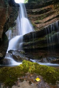 View of waterfall in forest