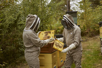 Bee-keepers during work