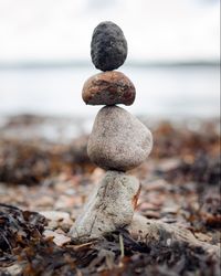 Close-up of pebbles on rock at beach