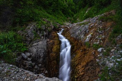 Scenic view of waterfall in forest