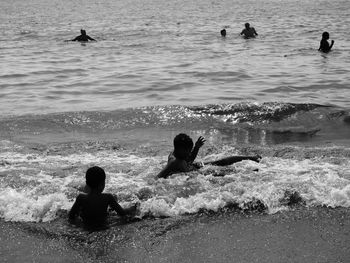 View of birds swimming in sea