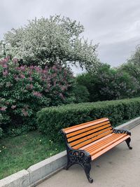 Empty bench in park against sky