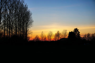 Silhouette trees against sky during sunset
