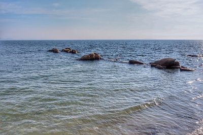 Scenic view of sea against sky