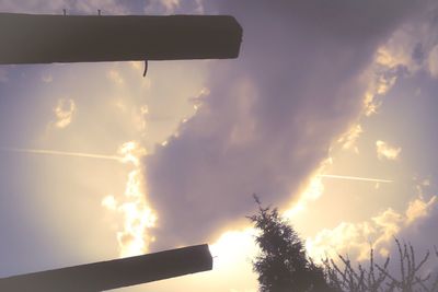 Low angle view of trees against sky at sunset