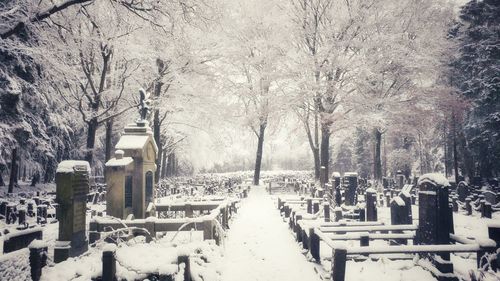 Snow covered cemetery