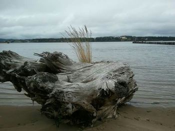 Scenic view of sea against cloudy sky
