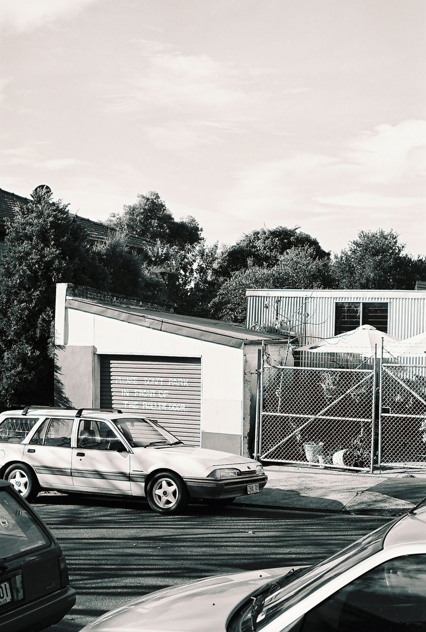 CAR AGAINST TREES