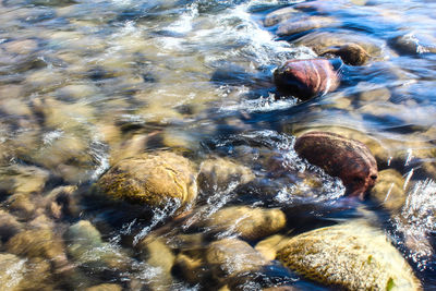 High angle view of rocks in water