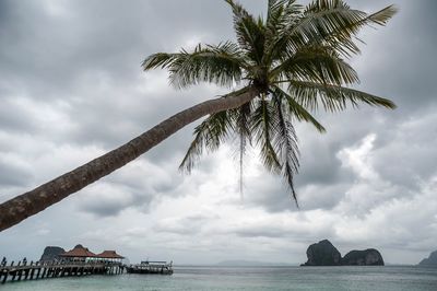 Scenic view of sea and palm trees against sky