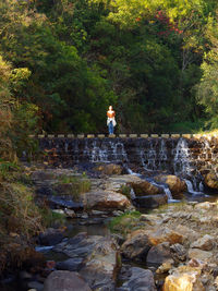 Rear view of man walking on rock in forest