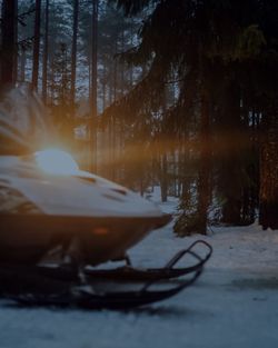 Snow covered land and trees in forest during winter