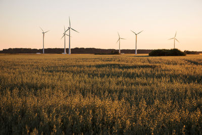 Wind turbines on grassy field against clear sky during sunset
