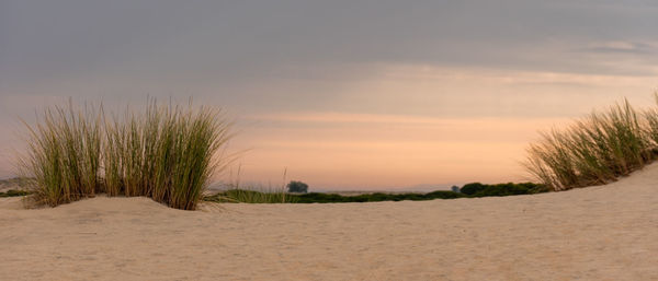 Scenic view of beach against sky during sunset