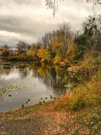 Scenic view of lake by trees against sky
