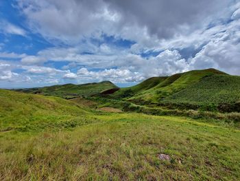 Scenic view of field against sky