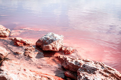 High angle view of rock in sea