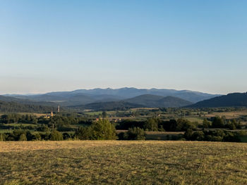 Scenic view of field against clear sky