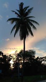 Silhouette palm trees against sky during sunset