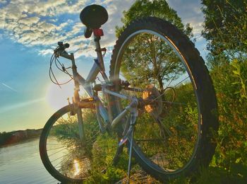Bicycle parked by tree against sky