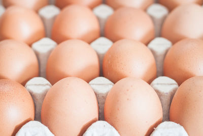 Close-up of eggs in carton