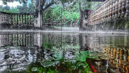 Pond with trees in background