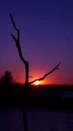 Close-up of silhouette bare tree against sky during sunset