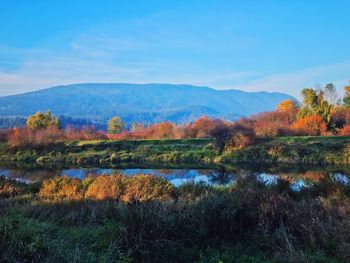 Scenic view of lake against sky during autumn