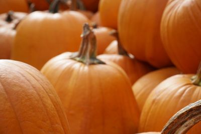 Close-up of pumpkins for sale at market