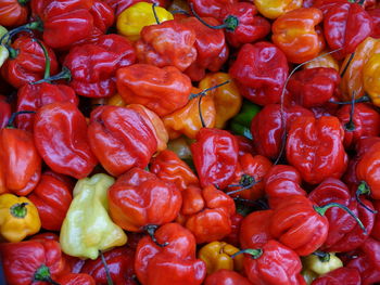 Full frame shot of red bell peppers at market stall