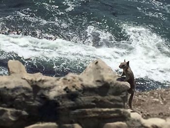 Waves splashing on shore