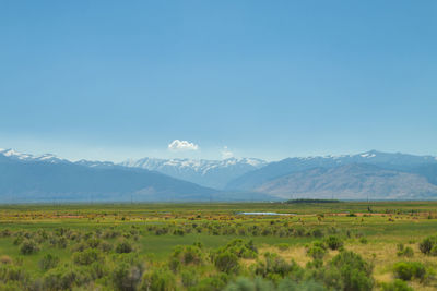 Scenic view of field and mountains against blue sky