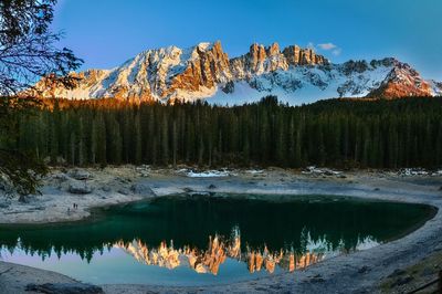 Scenic view of lake in forest during winter