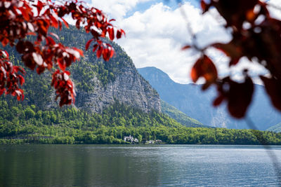 Scenic view of lake against mountain